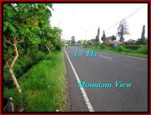 JUAL TANAH di TABANAN 17,000 m2  view Gunung 