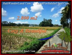 JUAL TANAH MURAH di UBUD BALI 28 Are View sawah