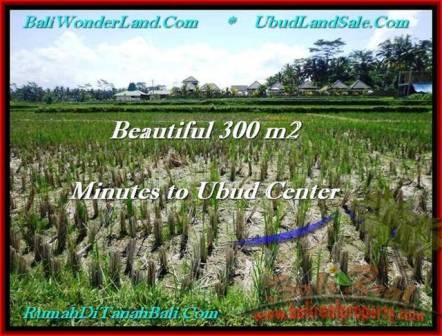 JUAL TANAH MURAH di UBUD BALI 3 Are View Sawah link Villa