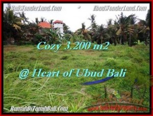 JUAL TANAH di UBUD BALI 3,200 m2  Dekat Monkey forest