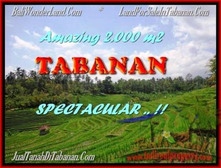 JUAL TANAH di TABANAN 20 Are View sawah gunung dan laut