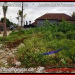 TANAH di TABANAN BALI DIJUAL MURAH 500 m2 Lingkungan Perumahan