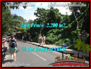 TANAH DIJUAL MURAH di UBUD BALI TJUB509