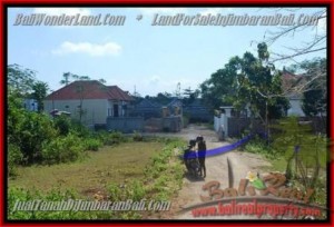 TANAH di JIMBARAN JUAL MURAH 600 m2  Lingkungan Perumahan