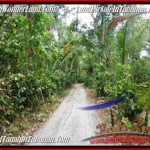 JUAL TANAH MURAH di TABANAN 8,000 m2 View kebun