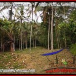 JUAL TANAH di TABANAN 3,600 m2 View Kebun