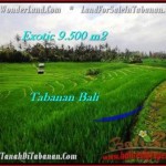 JUAL TANAH MURAH di TABANAN BALI 9,500 m2 di Tabanan Selemadeg