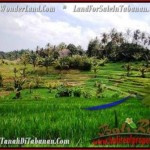 INVESTASI PROPERTY, TANAH di TABANAN BALI DIJUAL MURAH TJTB210