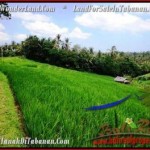 JUAL TANAH di TABANAN 9,500 m2 View Gunung dan sawah