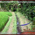 TANAH MURAH JUAL di TABANAN BALI 95 Are View Gunung dan sawah