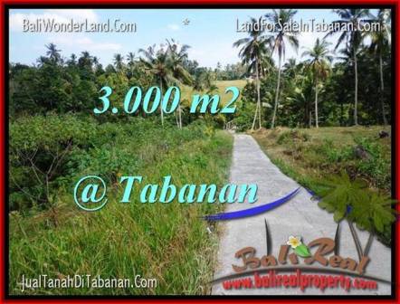 JUAL TANAH MURAH di TABANAN BALI Untuk INVESTASI TJTB205