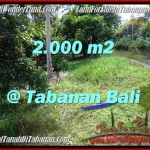 TANAH di TABANAN BALI DIJUAL MURAH 2,000 m2 View Kebun