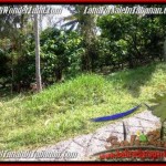 JUAL TANAH MURAH di TABANAN 20 Are View Kebun