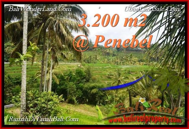 TANAH JUAL MURAH TABANAN 3,200 m2 View sawah, gunung, air panas