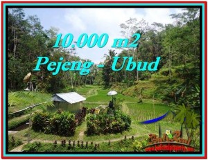 TANAH JUAL MURAH  UBUD 10,000 m2  View Sawah, Kolam, Pancoran