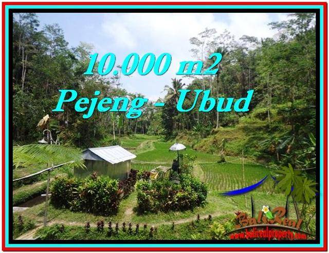 TANAH JUAL MURAH UBUD 10,000 m2 View Sawah, Kolam, Pancoran