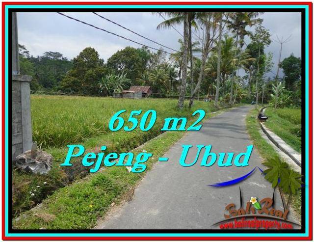 JUAL TANAH MURAH di UBUD 6.5 Are di Ubud Tampak Siring