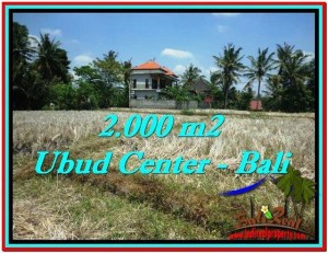 INVESTASI PROPERTI, TANAH DIJUAL MURAH di UBUD TJUB524