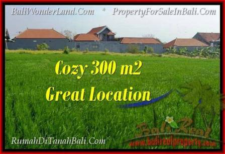 JUAL TANAH di CANGGU 3 Are View sawah lingkungan villa