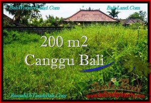 TANAH DIJUAL di CANGGU BALI 2 Are Lingkungan villa