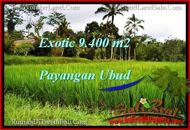 JUAL TANAH MURAH di UBUD 94 Are View Sawah, sungai dan Tebing