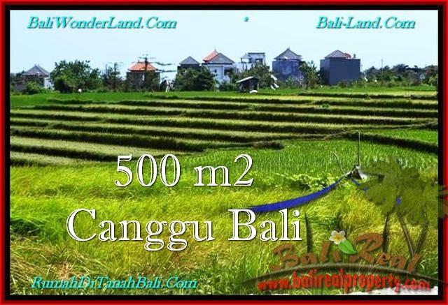 TANAH MURAH di CANGGU BALI DIJUAL 500 m2 di Canggu Brawa