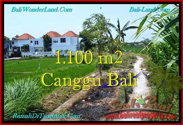 TANAH MURAH di CANGGU BALI DIJUAL 1,100 m2 di Canggu Brawa