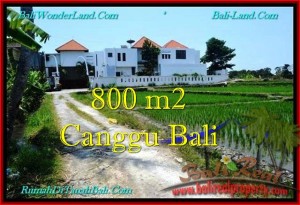 JUAL TANAH di CANGGU 800 m2  View sawah, lingkungan villa