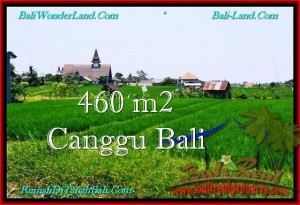 TANAH DIJUAL di CANGGU BALI 4.6 Are di Canggu Brawa