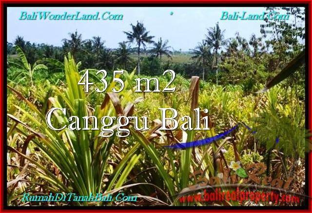 TANAH MURAH di CANGGU JUAL 4.35 Are View Sawah