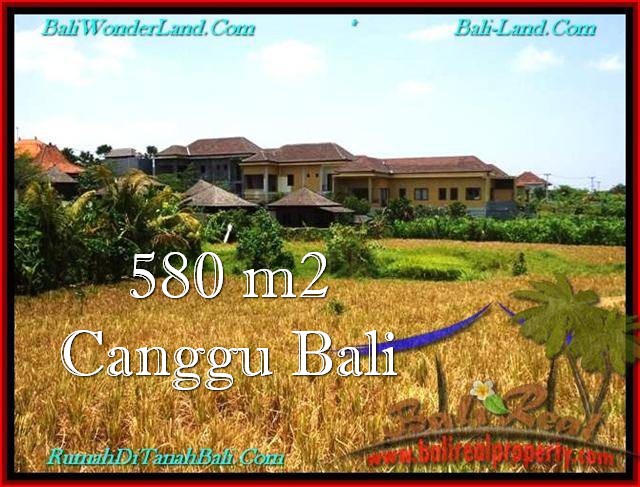 DIJUAL MURAH TANAH di CANGGU 580 m2 di Canggu Pererenan