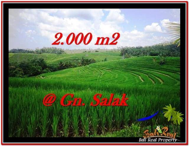 TANAH JUAL MURAH TABANAN 2,000 m2 View sawah, laut