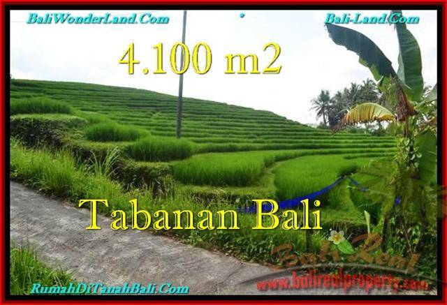 JUAL TANAH di TABANAN 41 Are View sawah dan Kebun