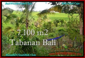 JUAL TANAH di TABANAN 71 Are View sawah dan Kebun