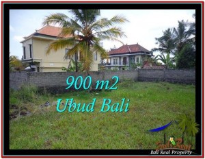 TANAH DIJUAL MURAH di UBUD Untuk INVESTASI TJUB532