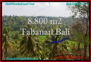 JUAL TANAH di TABANAN 8,800 m2 View laut, Sawah dan Gunung