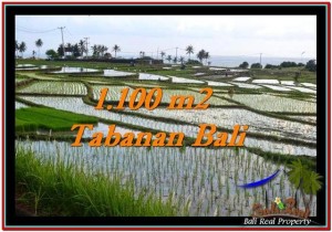 JUAL TANAH MURAH di TABANAN BALI 1,100 m2 di Tabanan Selemadeg