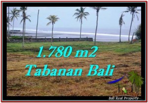 JUAL TANAH di TABANAN 17.8 Are View sawah, laut dan gunung