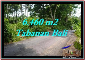 DIJUAL TANAH di TABANAN BALI Untuk INVESTASI TJTB256