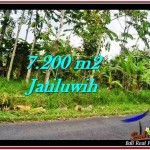 INVESTASI PROPERTY, JUAL TANAH MURAH di TABANAN TJTB226