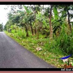 INVESTASI PROPERTY, JUAL TANAH MURAH di TABANAN TJTB226