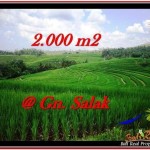 TANAH MURAH JUAL di TABANAN BALI 2,000 m2 View sawah, laut