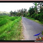 TANAH MURAH JUAL di TABANAN BALI 2,000 m2 View sawah, laut