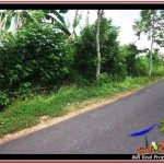 TANAH MURAH JUAL di TABANAN BALI 2,000 m2 View sawah, laut