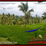 TANAH MURAH JUAL di TABANAN BALI 3,200 m2 View sawah, gunung, air panas