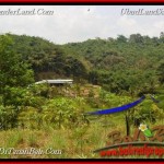 TANAH MURAH JUAL di TABANAN BALI 3,200 m2 View sawah, gunung, air panas