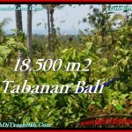 JUAL TANAH MURAH di TABANAN Untuk INVESTASI TJTB232