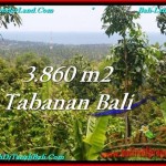 INVESTASI PROPERTY, JUAL TANAH MURAH di TABANAN TJTB236