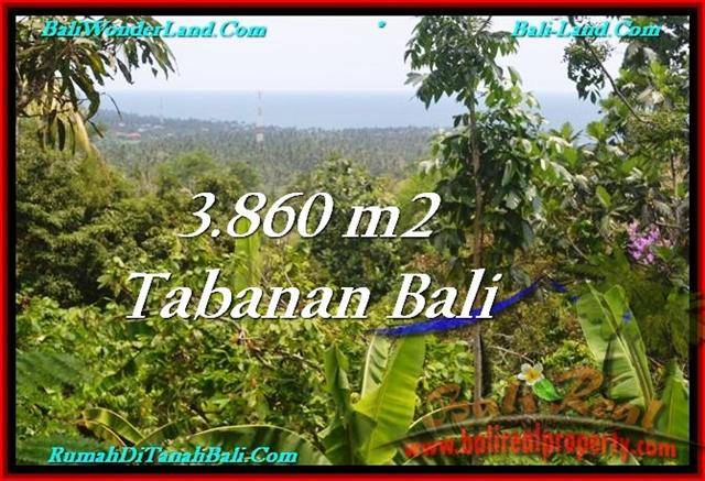 INVESTASI PROPERTY, JUAL TANAH MURAH di TABANAN TJTB236