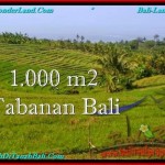 TANAH MURAH JUAL di TABANAN BALI 1,000 m2 View Laut dan sawah